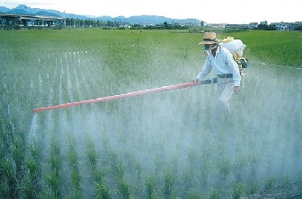 La problemática de los agrotóxicos en la Provincia de Buenos Aires 