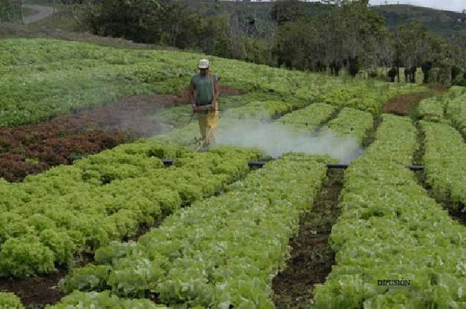 Solicitud de Informes sobre el Programa sobre Prevención y Control de Intoxicaciones por Plaguicidas y Químicos de Uso Agrícola